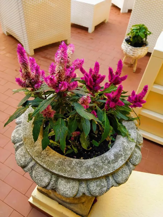 Ca'Tronconi Ai Frari Apartment Venice 0*,  Italy